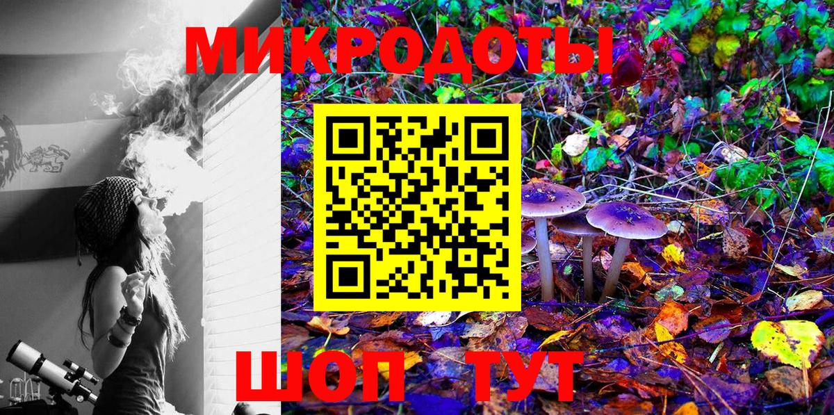 Псилоцибиновые грибы Psilocybe  купить наркоту  Гай  Вход с VPN 